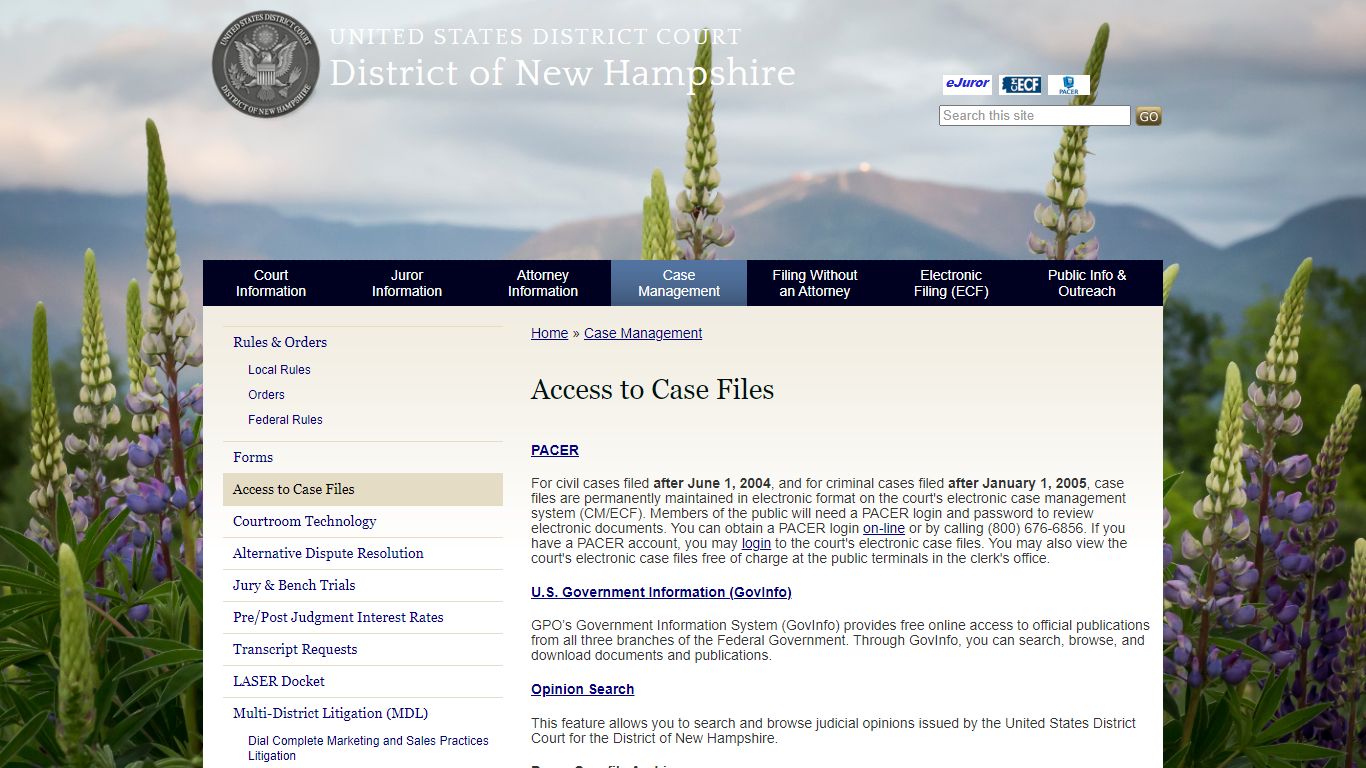 Access to Case Files | District of New Hampshire | United States ...